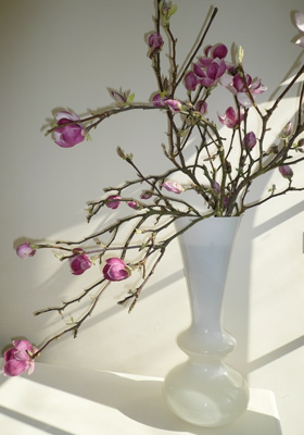 Jen Jakobsen Floral Construction Home flowers: stemmed magnolia vase arrangement