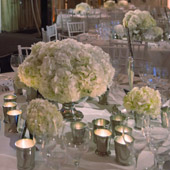 Jens Jakobson Events: pastel green and white hydrangea table settings, picture 18