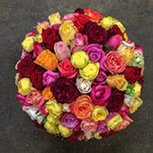 Jens Jakobson Workplace:  flowers 1, mixed roses