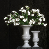 Jens Jakobson Workplace: flowers 5, white lily