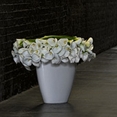 Jens Jakobson Workplace: flowers 4, white lily
