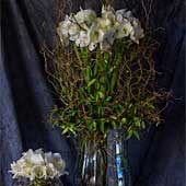 Jens Jakobson Workplace: flowers 10, white lily