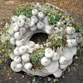 Jens Jakobson Christmas: white bulbs and seashells