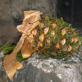 Jens Jakobson Christmas: bark, biscuits, moss, picture 9