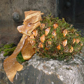 Jens Jakobson Christmas: bark, biscuits, moss, picture 9