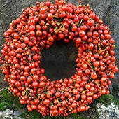Jens Jakobson Christmas: red berry wreath