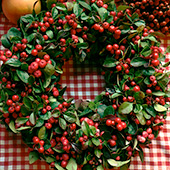 Jens Jakobson Christmas: red winter berries wreath