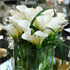 Jens Jakobson Events: white calla lily detail