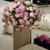 Jens Jakobson Events: pink and white roses, bridal shop, picture 19