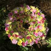 Jens Jakobson Events: wreath of joy, cherry-blossom, yellow pansy and orchids