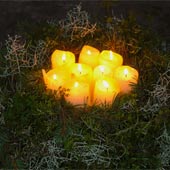 Jens Jakobson Wedding:golden candles in evergreens