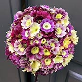 Jens Jakobson Wedding: auricula welcome posy