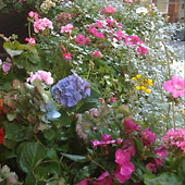 Jens Jakobson Garden: summer balcony